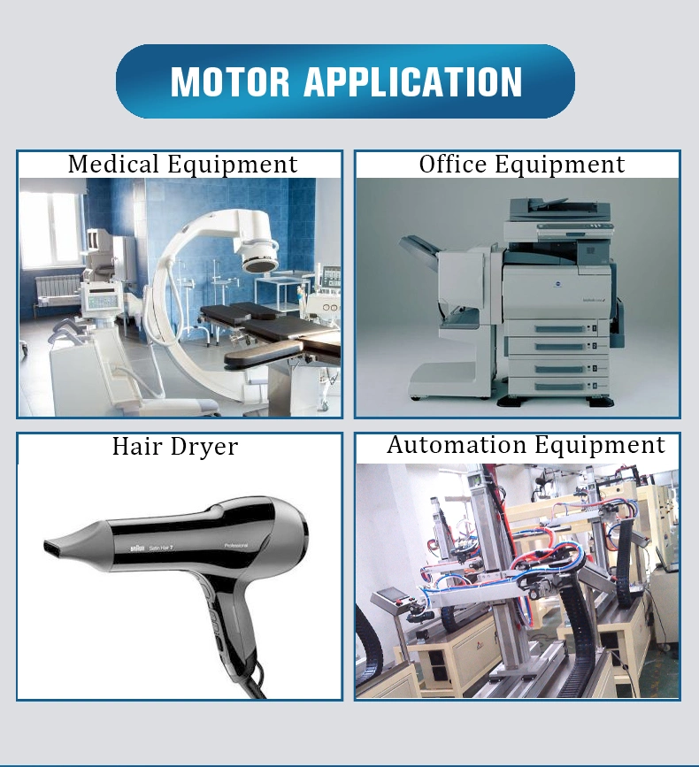Electrical Micro RS550 RS555 RS540 DC Motor Hair Dryer Motor for Evaporator/Hand Drill/DC Fan/Silicon Wire/Hair Clipper