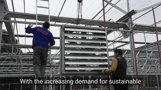 High Efficiency Electric Powered Cooling Fan for Greenhouse Ventilation Needs