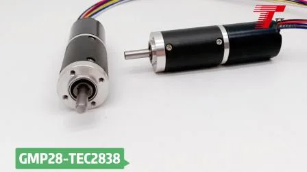 Micro electric DC 24V brushless gear motor