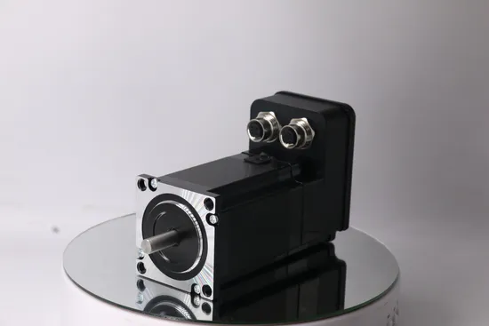 NEMA 17 23 34 Stepper Motor 12V 24V 48V Brushless DC Electric Pump Mini Permanent Magnet Guangdong Brush Micro Powerful Small Open Loop Stepper Kit 