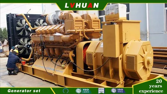 Shandong Lvhuan 190 Diesel Engine 