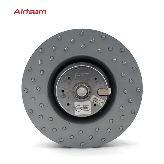 Aden portable Motor Fan Diameter 225mm Backward Curved Centrifugal Fan 