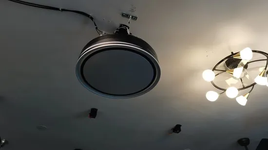 42 Inch Simple Style Modern Mute Indoor DC Motor LED Ceiling Fan 