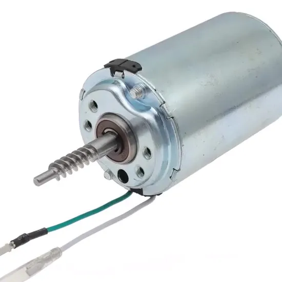 Guangdong OEM ODM Gear Motor 12V 24V 36V 48V Brushless Micro DC Motor 