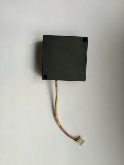 Magnetic Latching Relay 